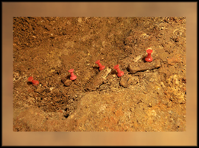 Segona pista: 2a SORTIDA GENERAL Colònies Segona pista: 2a SORTIDA GENERAL Colònies