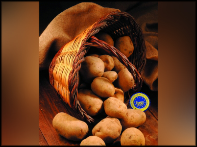 Cinquena pista: 2a SORTIDA GENERAL Colònies