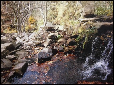 Guanyadors concurs fotografia. Guanyadors concurs fotografia.