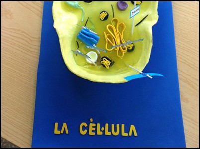 Exposició Cèl·lula 2n ESO. Exposició Cèl·lula 2n ESO.
