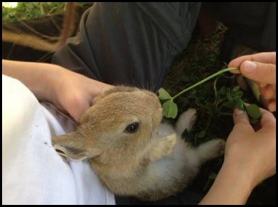 4a pista per esbrinar on anem de 2a Sortida General Colònies 4a pista per esbrinar on anem de 2a Sortida General Colònies